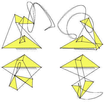 butterfly_4_curves.jpg