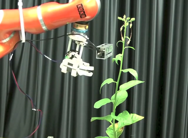 Robotized plant probing: Leaf segmentation utilizing time-of-flight data