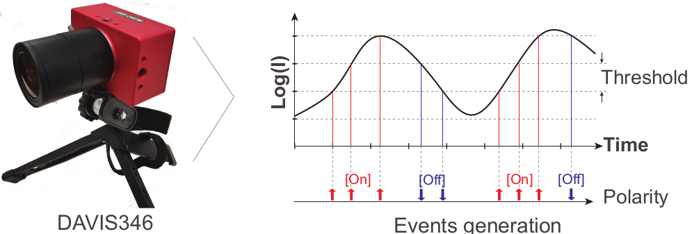 Research: Cameras On or Off?